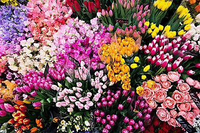 “终焉之形”新职业泄密者透露《命运3》正在开发中