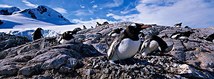 昨天是《巫师2》发售12周年